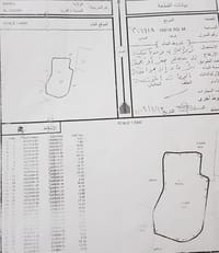 16198m² Land for Sale in Barka | OMR 105,000 | REF 100LC thumbnail 1