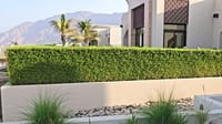1 Bedroom Villa for Sale in Sifa, Ash Sharqiyah thumbnail 13