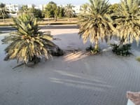 Al Ghubra 出售 6 臥室別墅 | OMR 300,000 | REF 313LC 縮圖 13